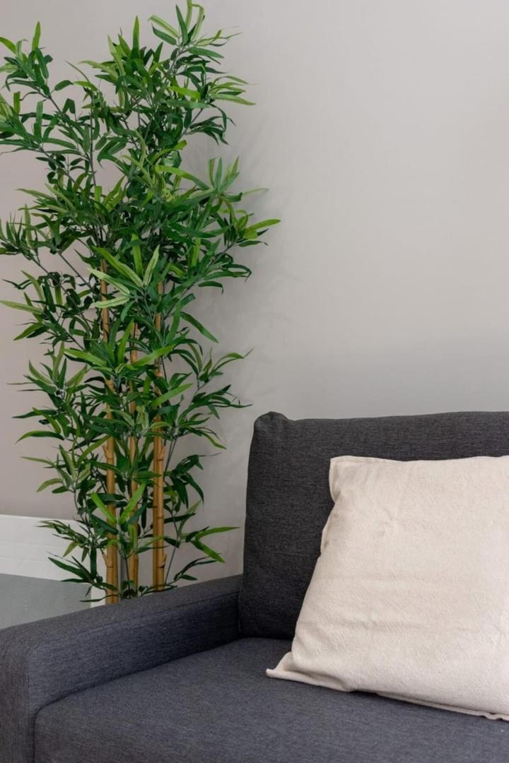 Hypercentre -Apartment In Pedestrian Zone Lille Ngoại thất bức ảnh